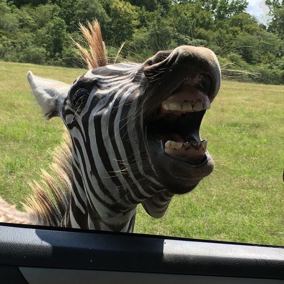 Meet your Posher, Scott - Picture 1 of 1